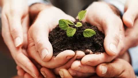مزایای کود ورمی کمپوست درجه یک برای کشاورزی
