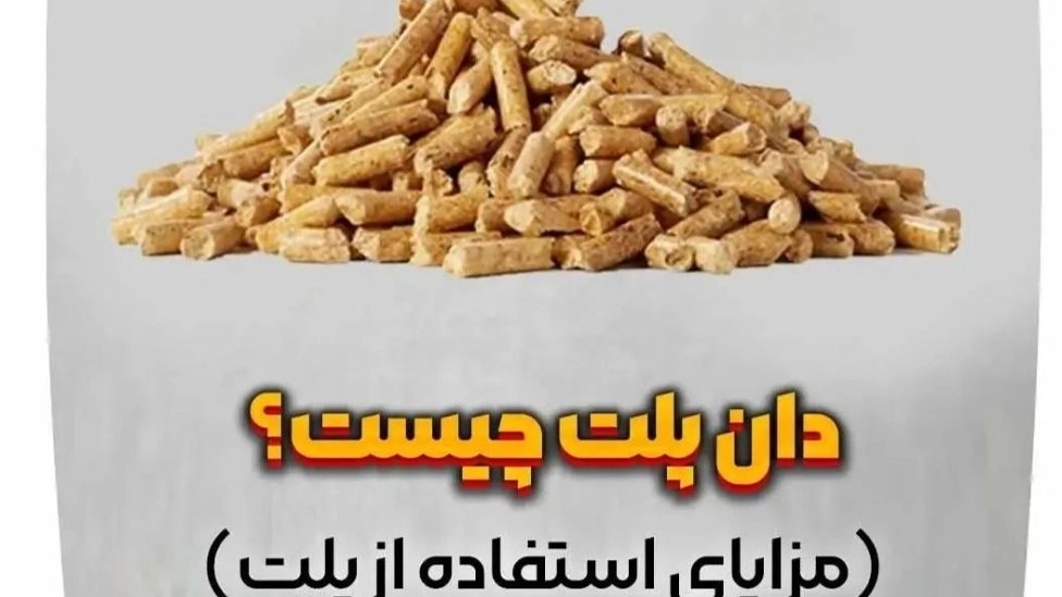 دان پلت چیست دان پلت چیست