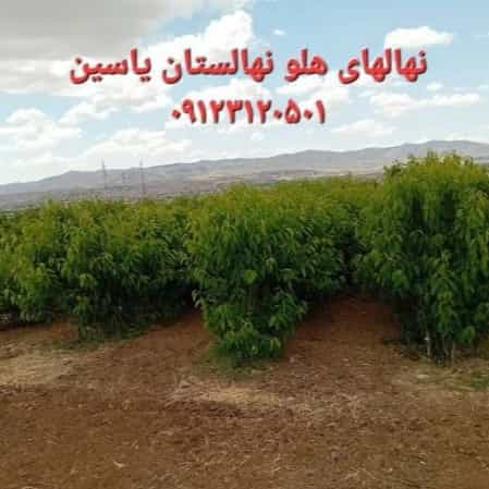 1704267746935.webp