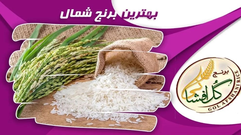 بهترین برنج شمال ، انواع برنج مازندران بهترین برنج شمال ، انواع برنج مازندران