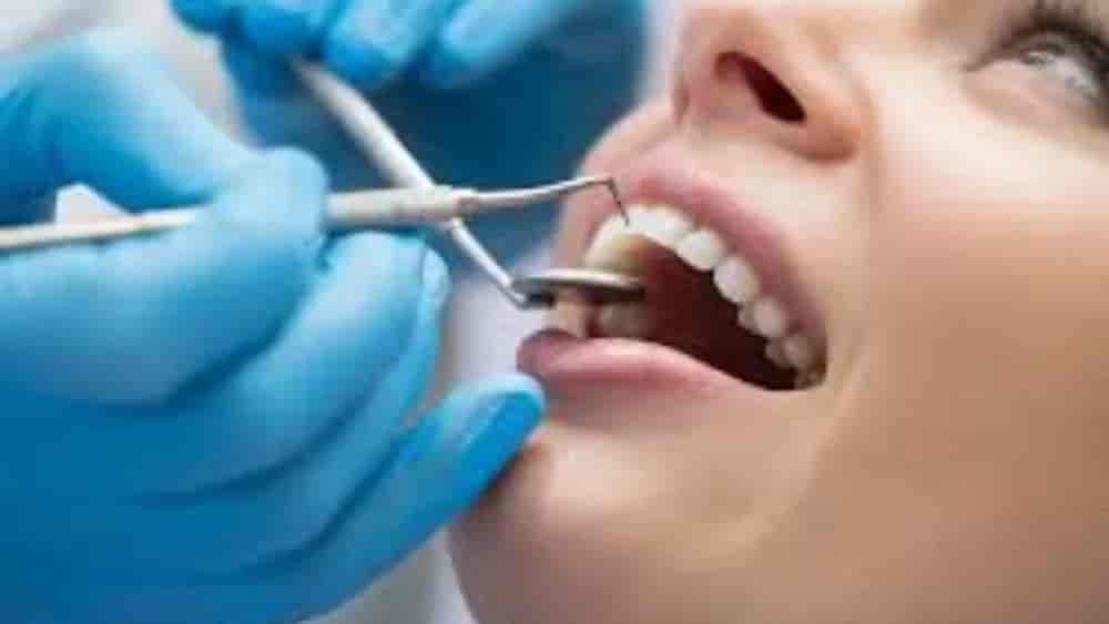 دکتر یسنا رجبی دکتر یسنا رجبی