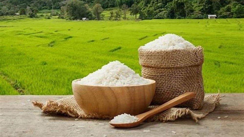 فروش برنج در صومعه سرا فروش برنج در صومعه سرا