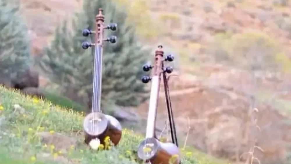 انواع کمانچه