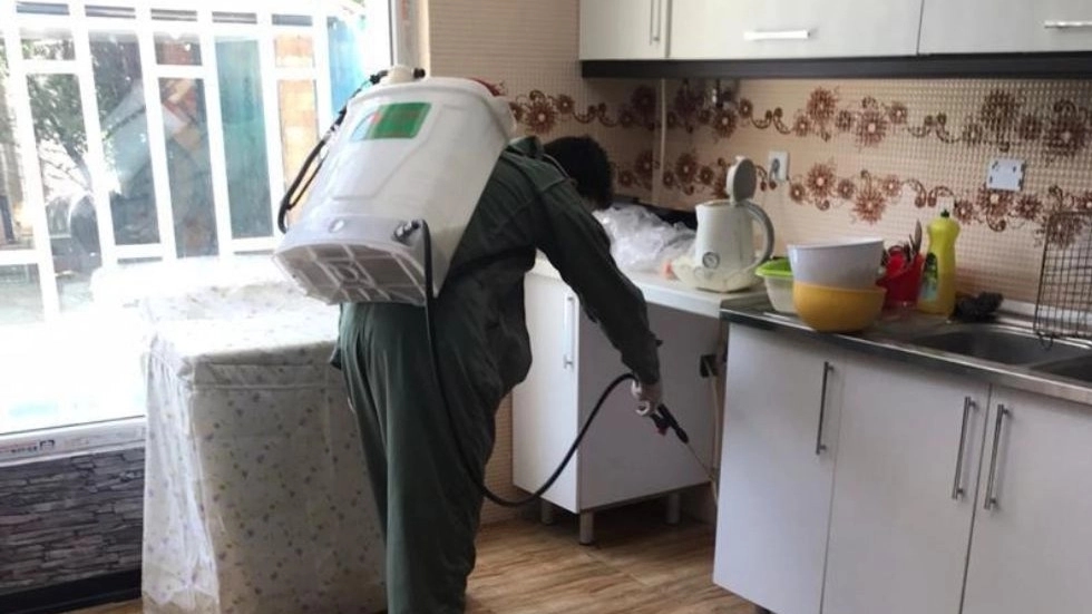 سمپاشی منازل پاک مهر نصف جهان سمپاشی منازل پاک مهر نصف جهان