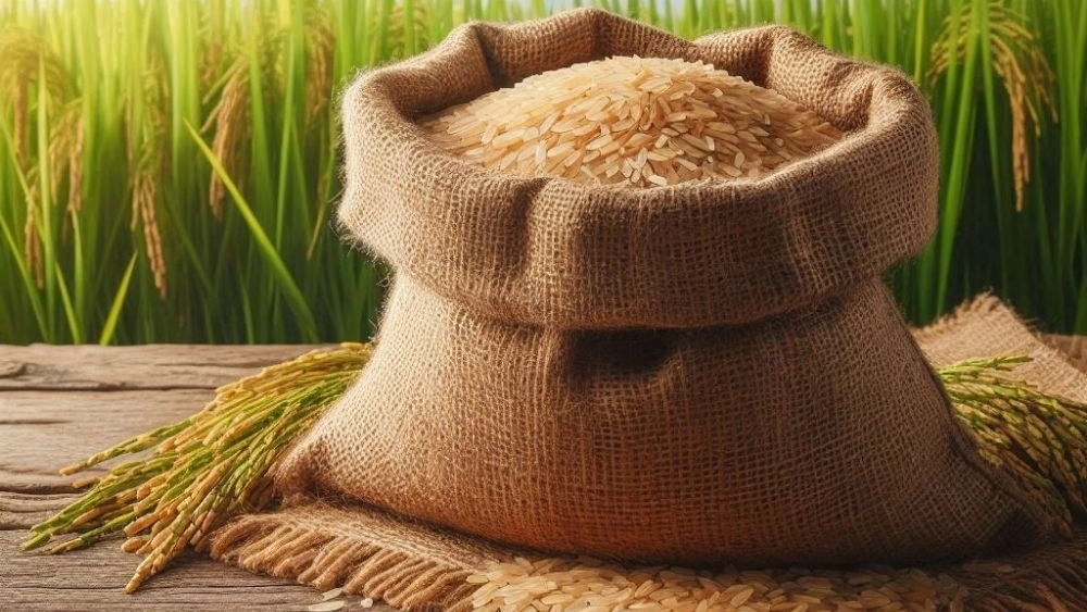 برنج کشت اول طارم و هاشمی فریدون کنار؛ چرا ارگانیک مارکت بهترین انتخاب برای خرید اینترنتی برنج شمال است؟ برنج کشت اول طارم و هاشمی فریدون کنار؛ چرا ارگانیک مارکت بهترین انتخاب برای خرید اینترنتی برنج شمال است؟