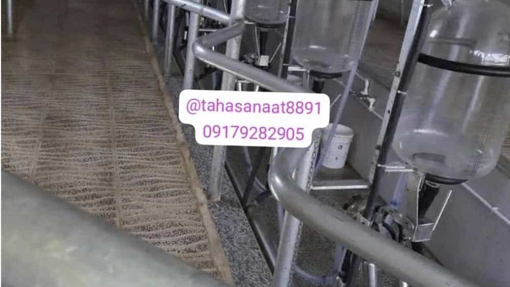 ساخت باکس شیردوش در فارس