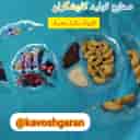 گروه صنعتی کاوشگران
